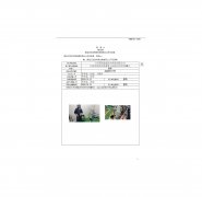 江苏国瓷泓源光电科技有限公司